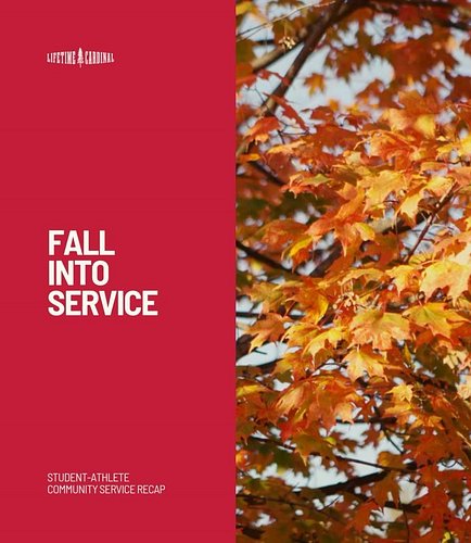 Our #LifetimeCardinal student-athletes have been hard at work, not just in their sports, but also through meaningful communit...