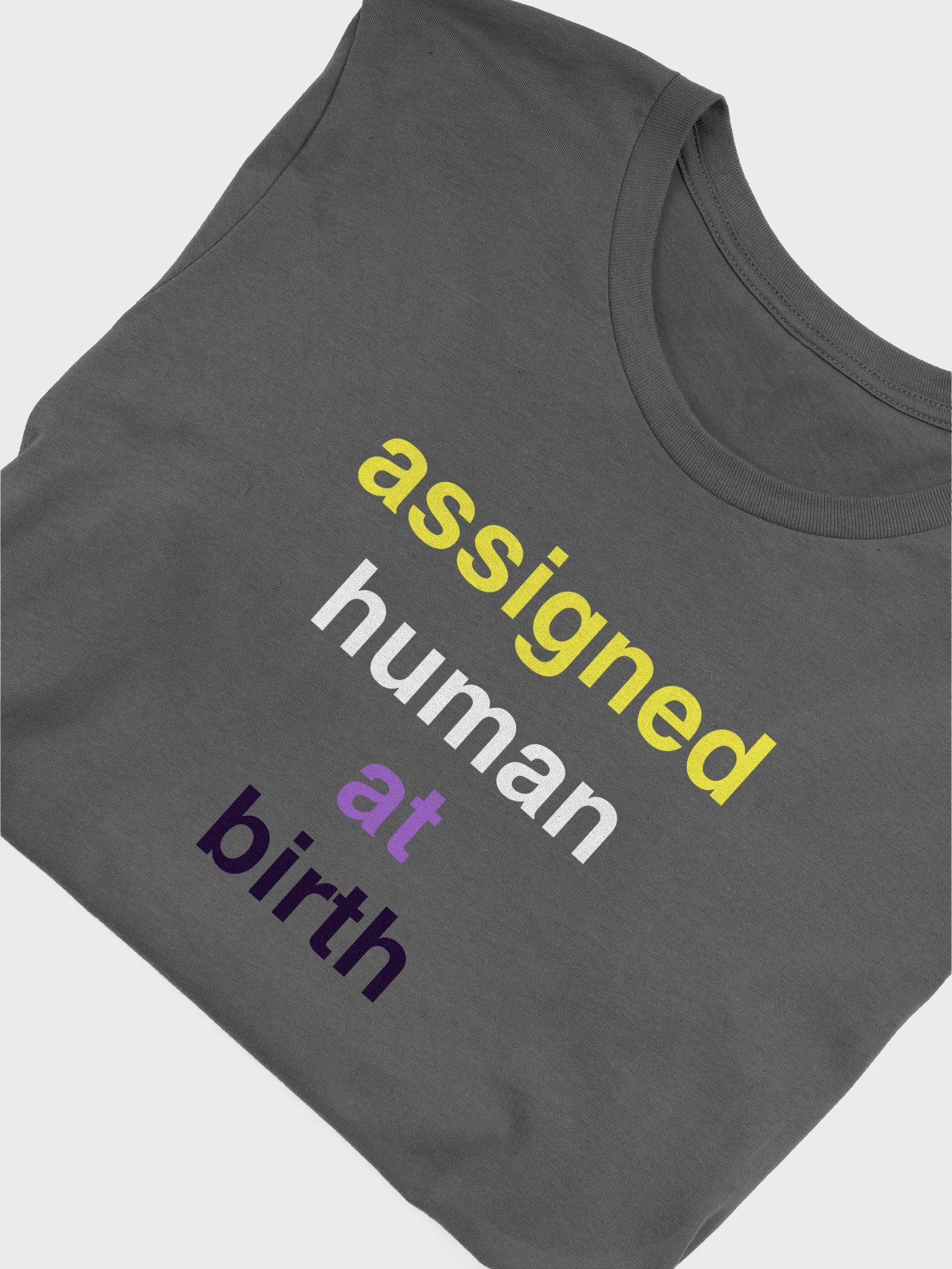 assigned human at birth nonbinary t-shirt product image (5)