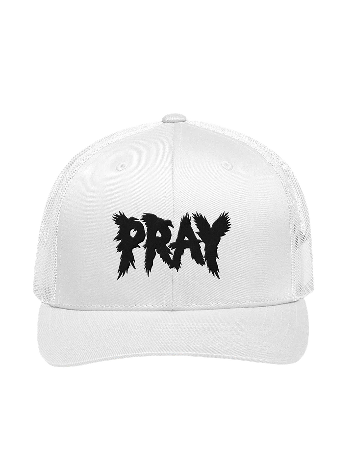 Birds Of Pray Retro Hat product image (1)