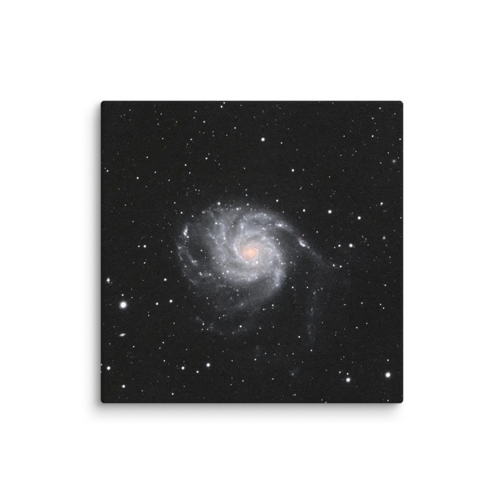 2025 - M101 by Eduardo Glasman product image (4)