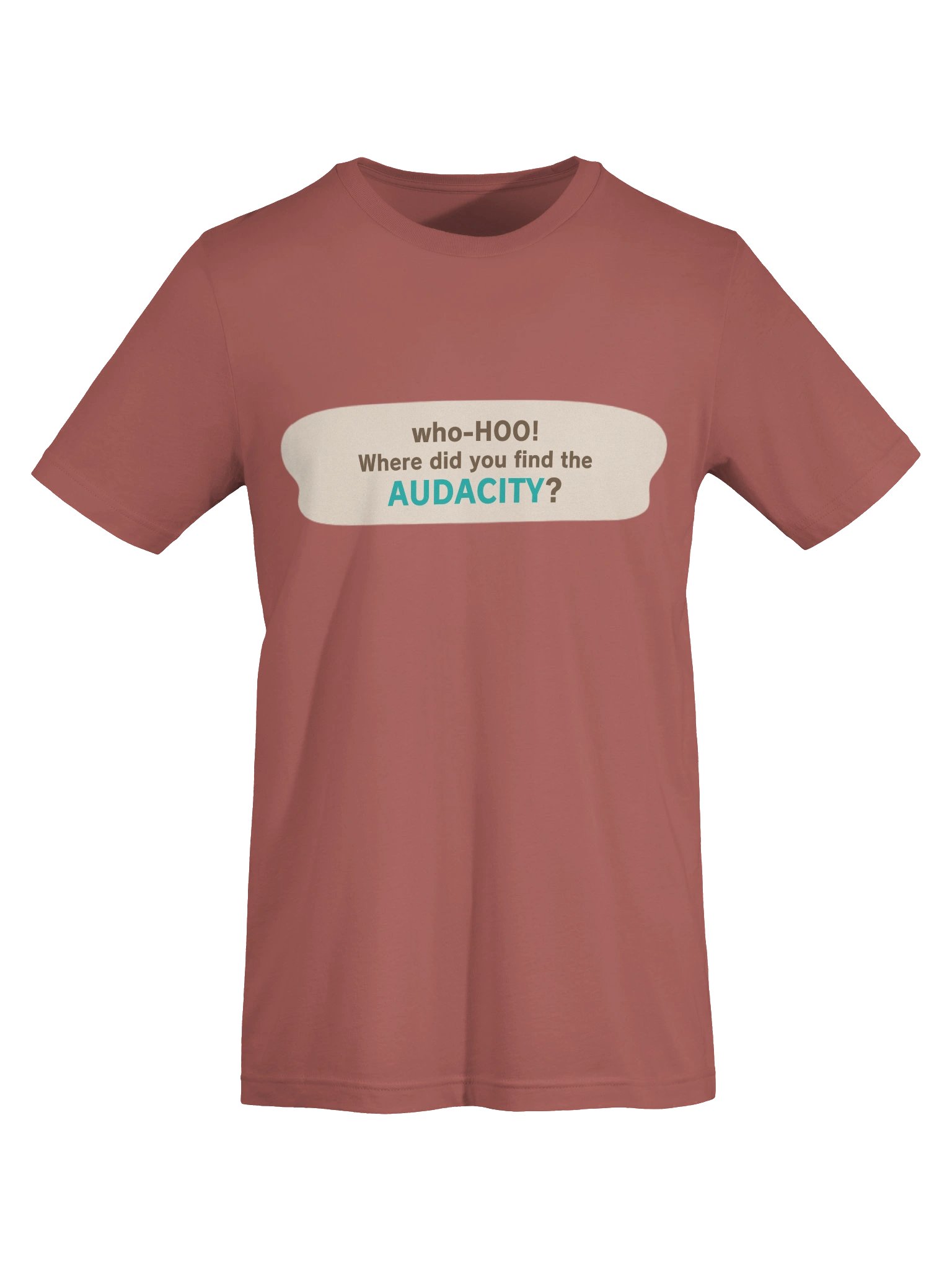 Audacity product image (14)