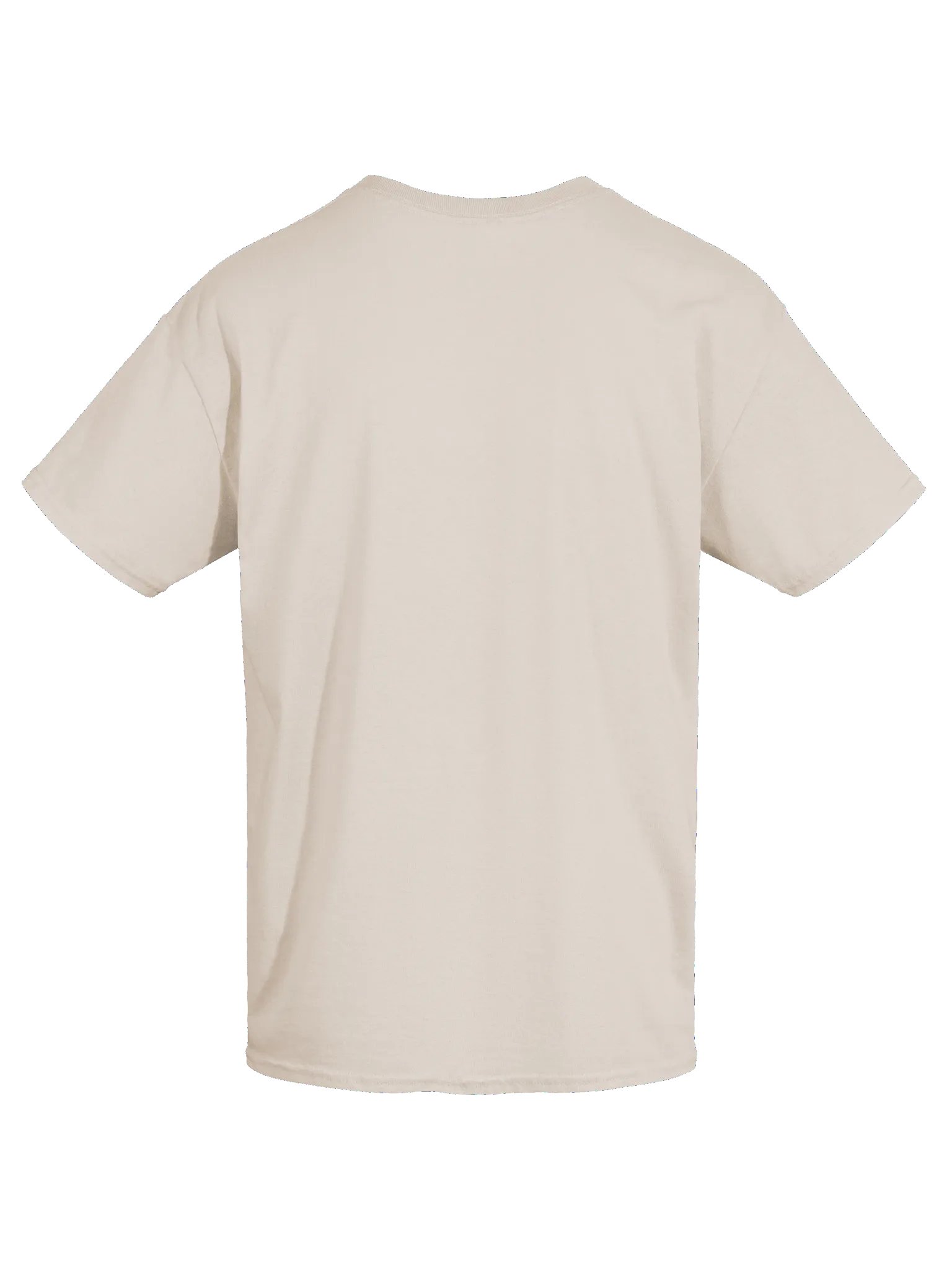 The Impediment to Action Advances Action - Stoic Wisdom TSHIRT product image (20)