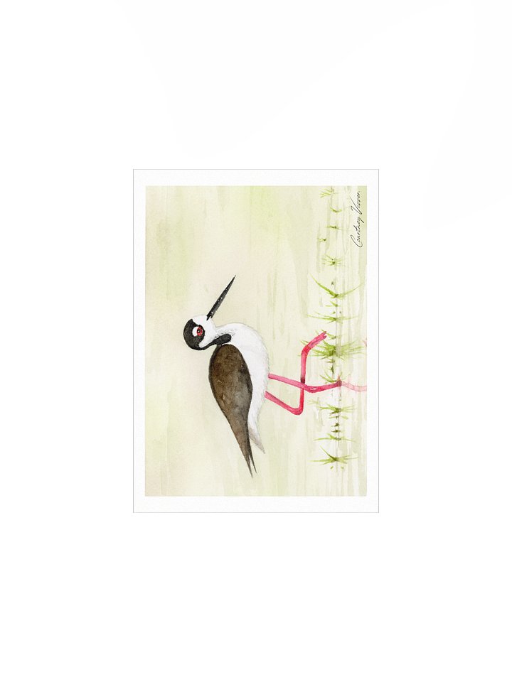 Black-necked stilt print product image (2)