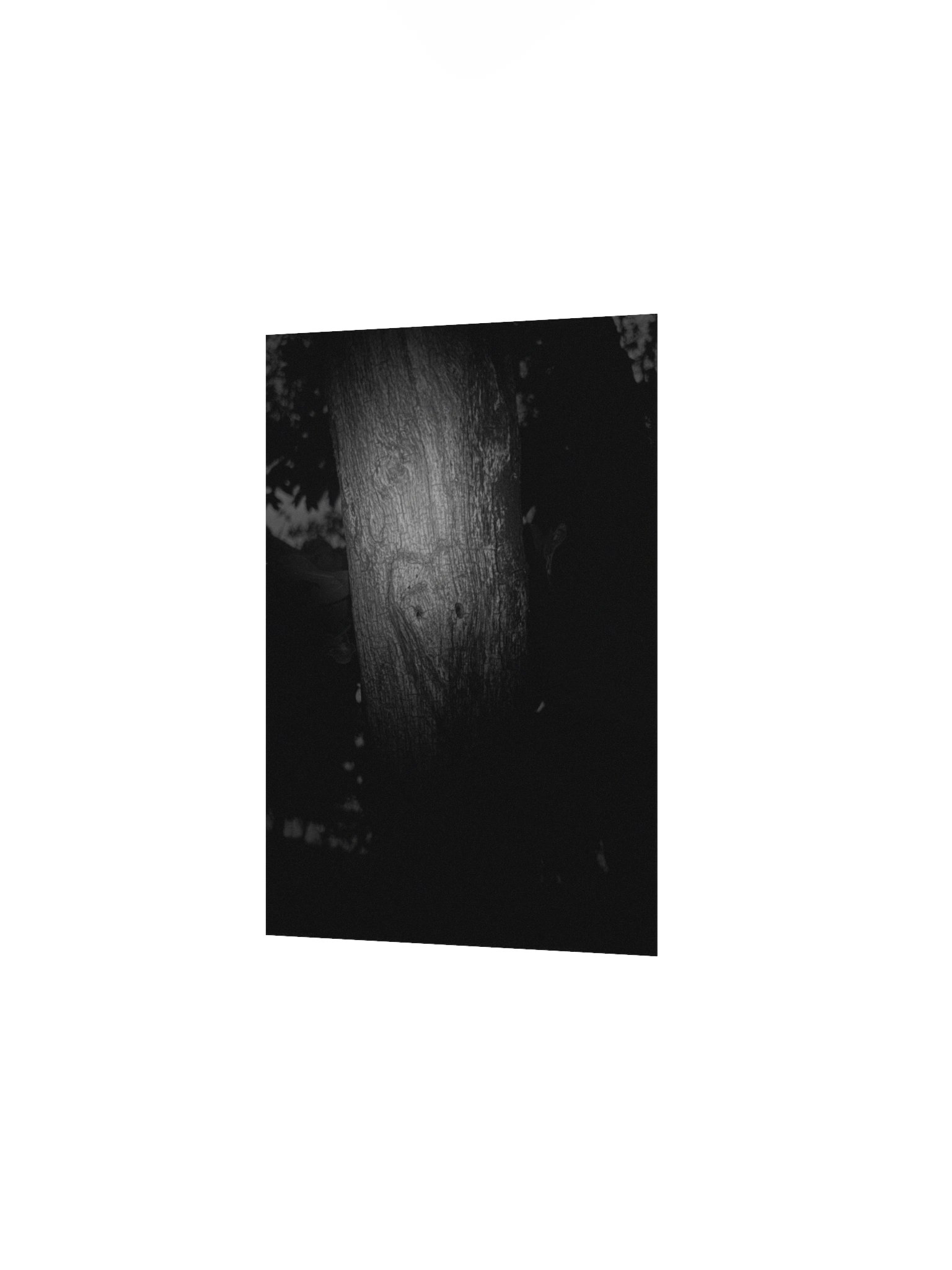 The carving (real image) poster product image (10)