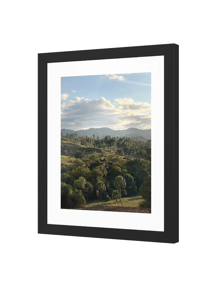 Hills and Palm Tree Framed Art Print product image (6)