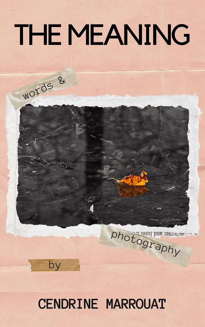 The Meaning product image (1)