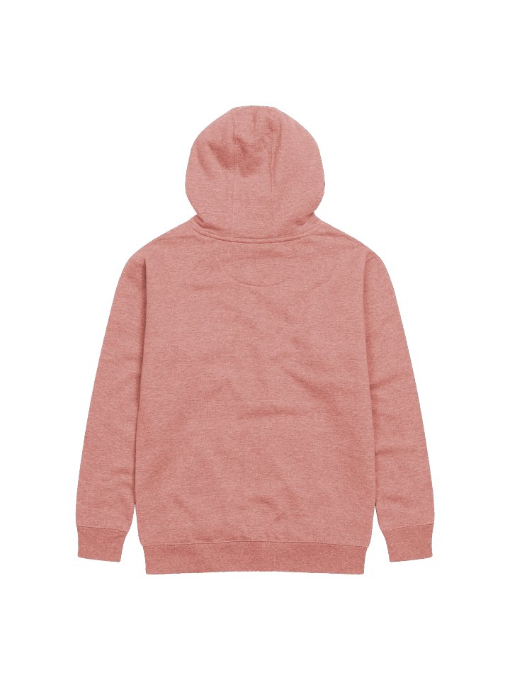 Rain's Pride & Joy Hoodie product image (2)