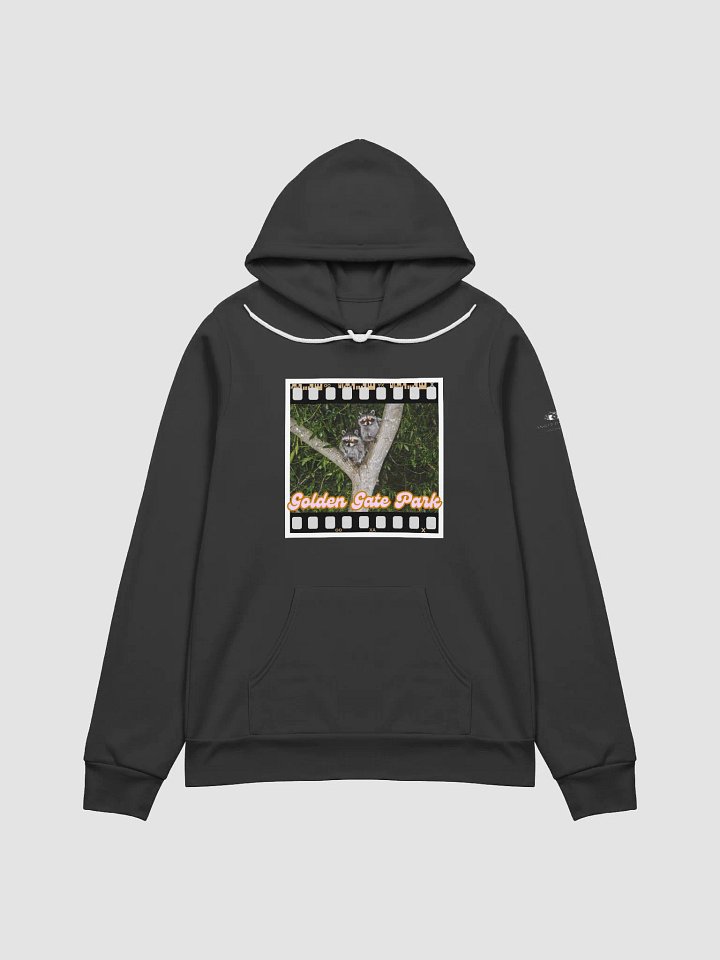 Golden Gate Park Raccoons Super Soft Hoodie (Black) product image (1)