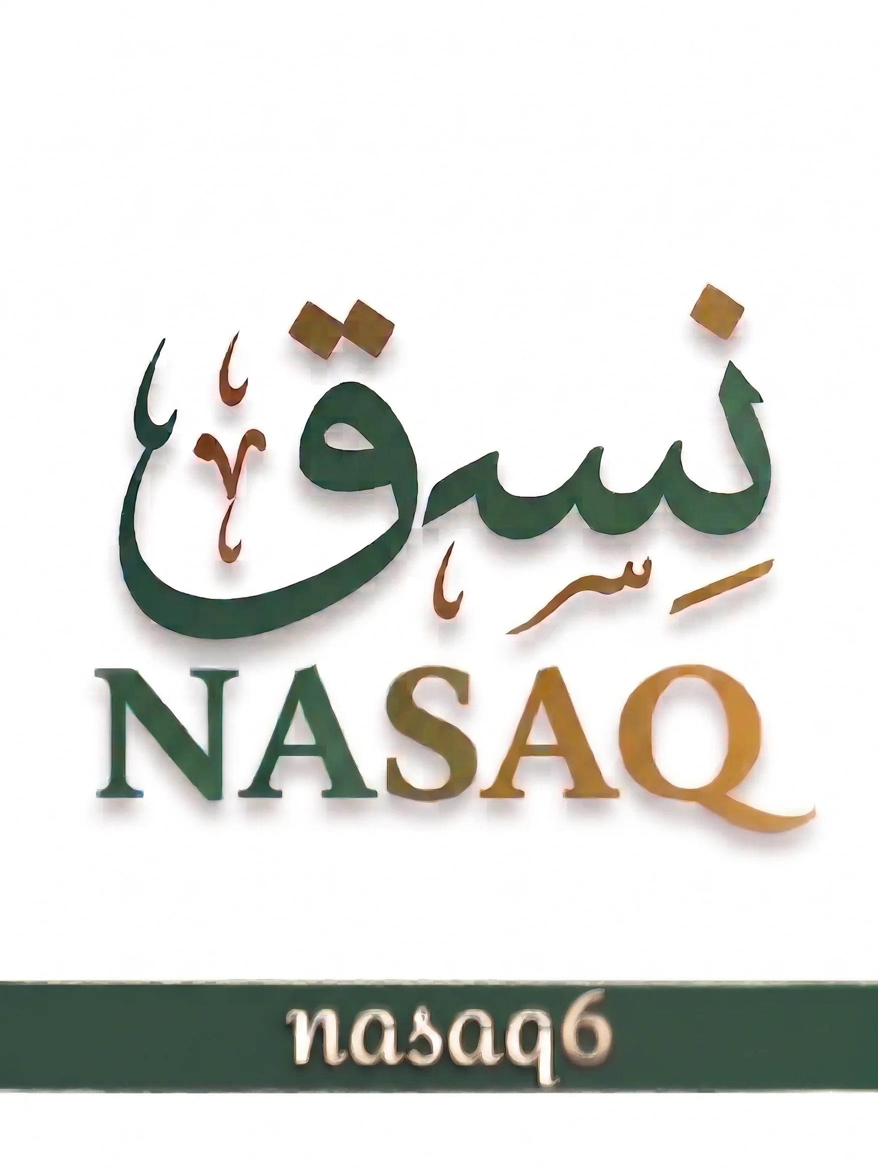 NASAQ300 product image (1)