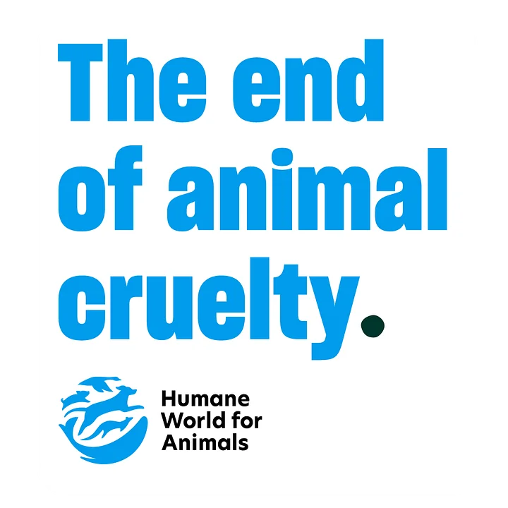 Humane World for Animals mission stickers – Set of 4 product image (2)