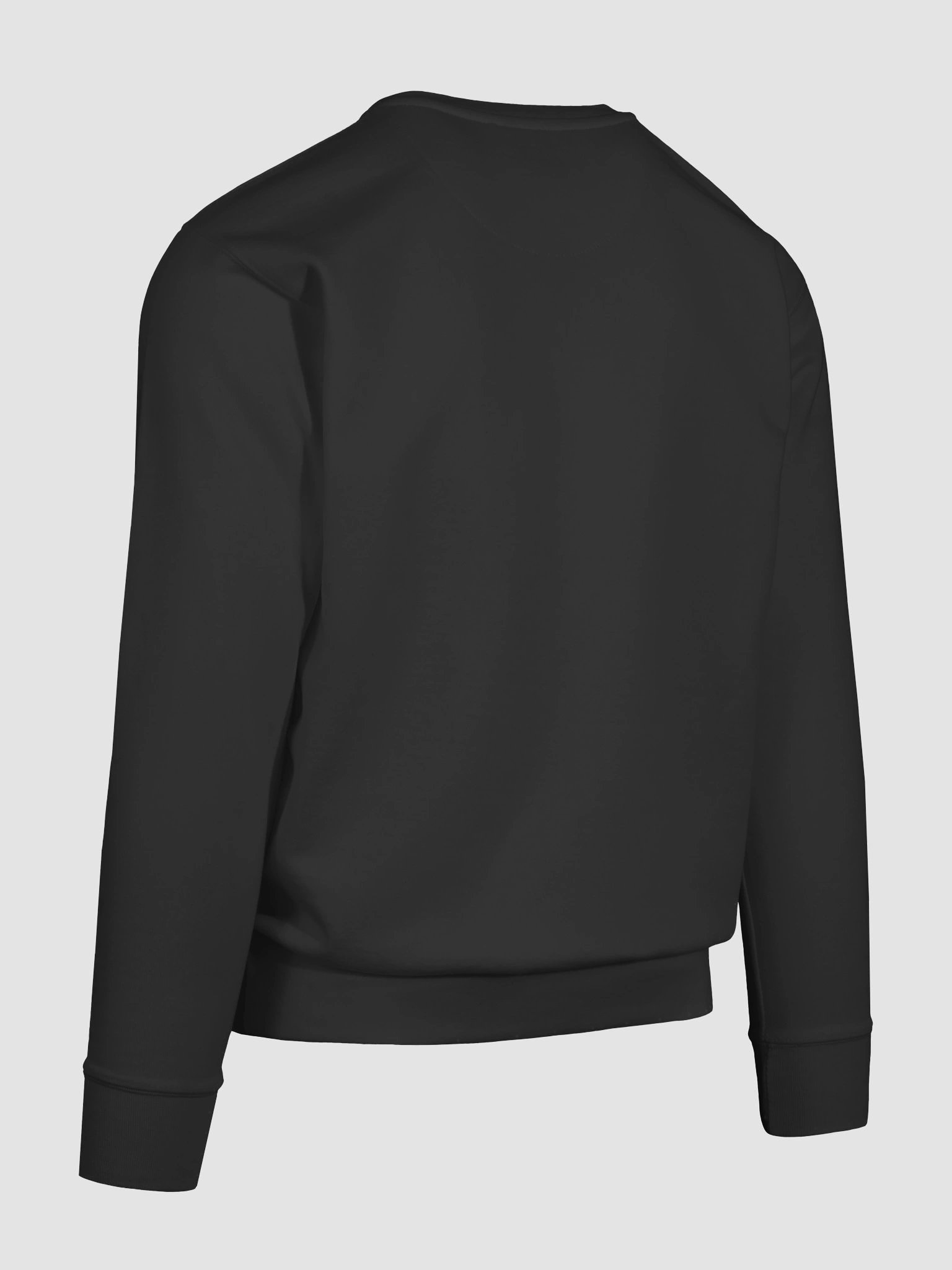 Sweatshirt - ilterzo product image (12)