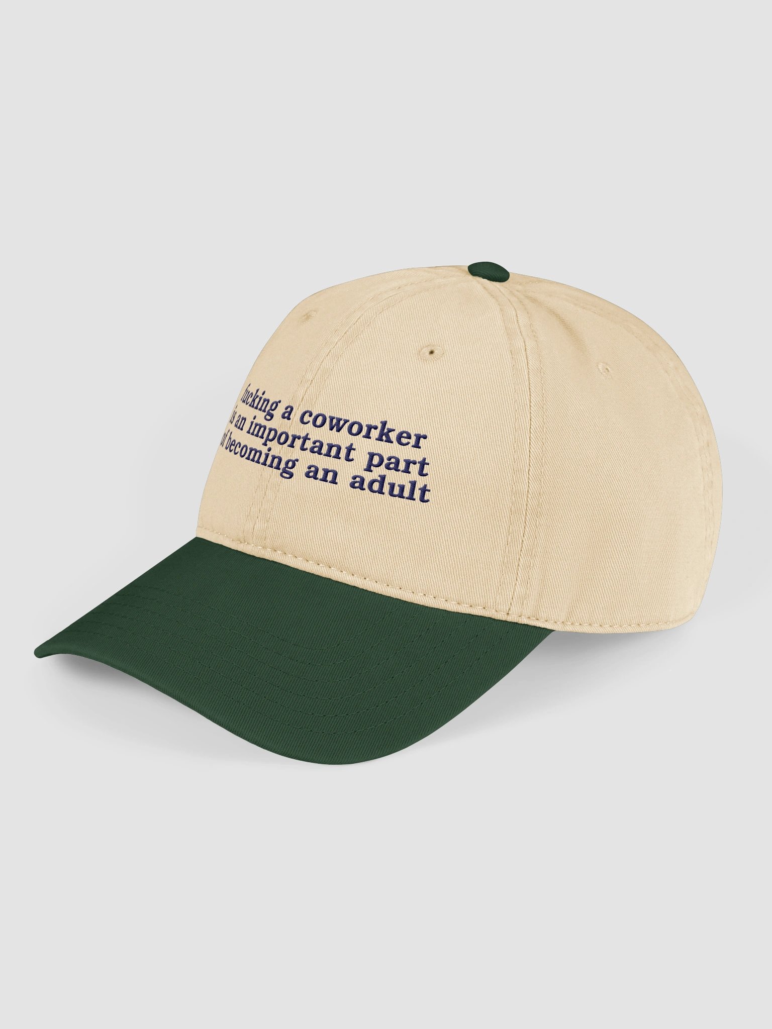 Fucking A Coworker Is An Important Part Of Becoming An Adult Garment Washed Hat. product image (14)