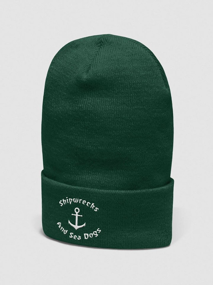 Cuffed Logo Beanie product image (2)
