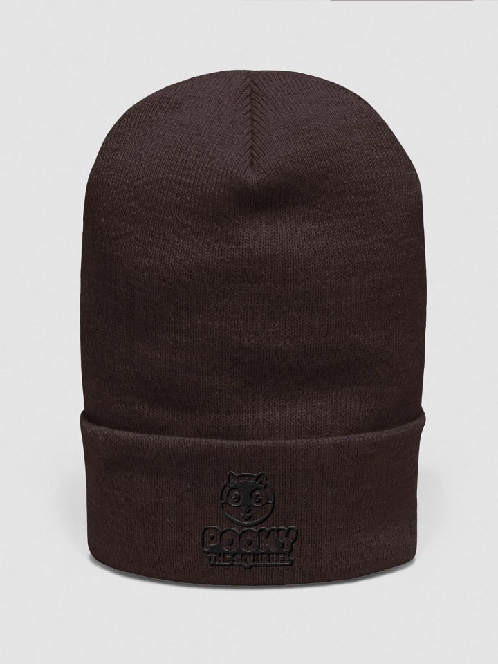 Official Pooky the Squirrel Logo Supersoft Beanie product image (1)