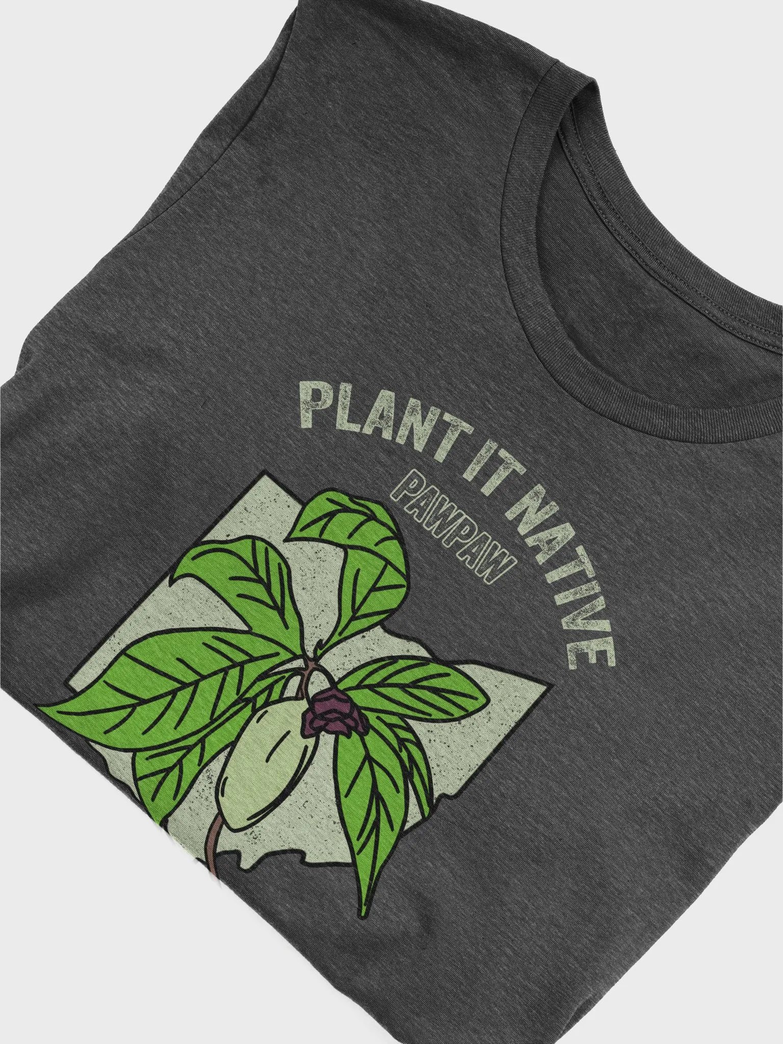 Plant It Native Pawpaw 1 product image (5)