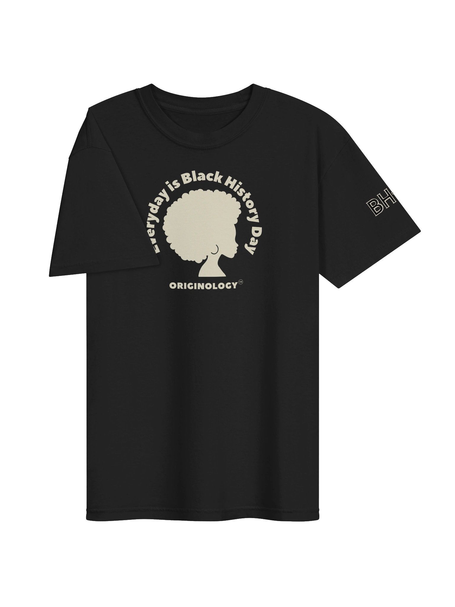 Everyday is Black History Day | Heavy T-Shirt | Originology | Black History X product image (4)