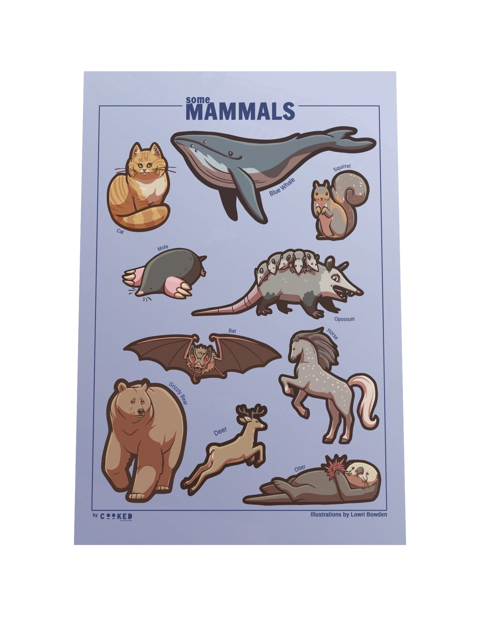 An Abundance of Mammals Poster - 10 Illustrated Mammals - Original Illustrated Poster product image (3)