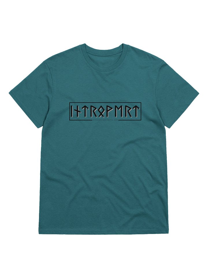 Viking Rune Introvert T-Shirt product image (1)