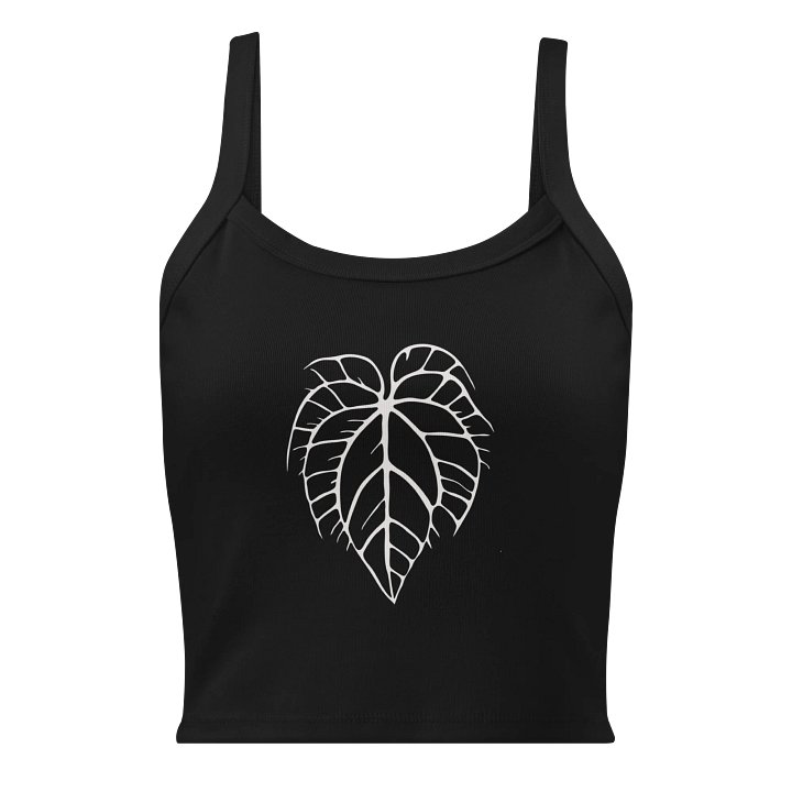 ANTHURIUM CRYSTALLINUM SKELETON - Mid-Length Tank product image (1)