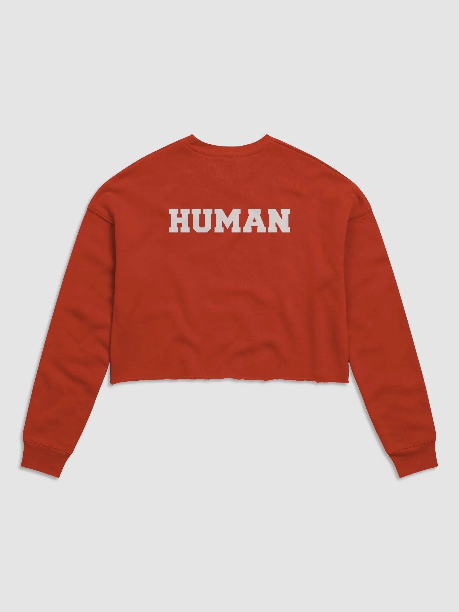 (2 sided) Ordinary Human crop sweatshirt product image (7)