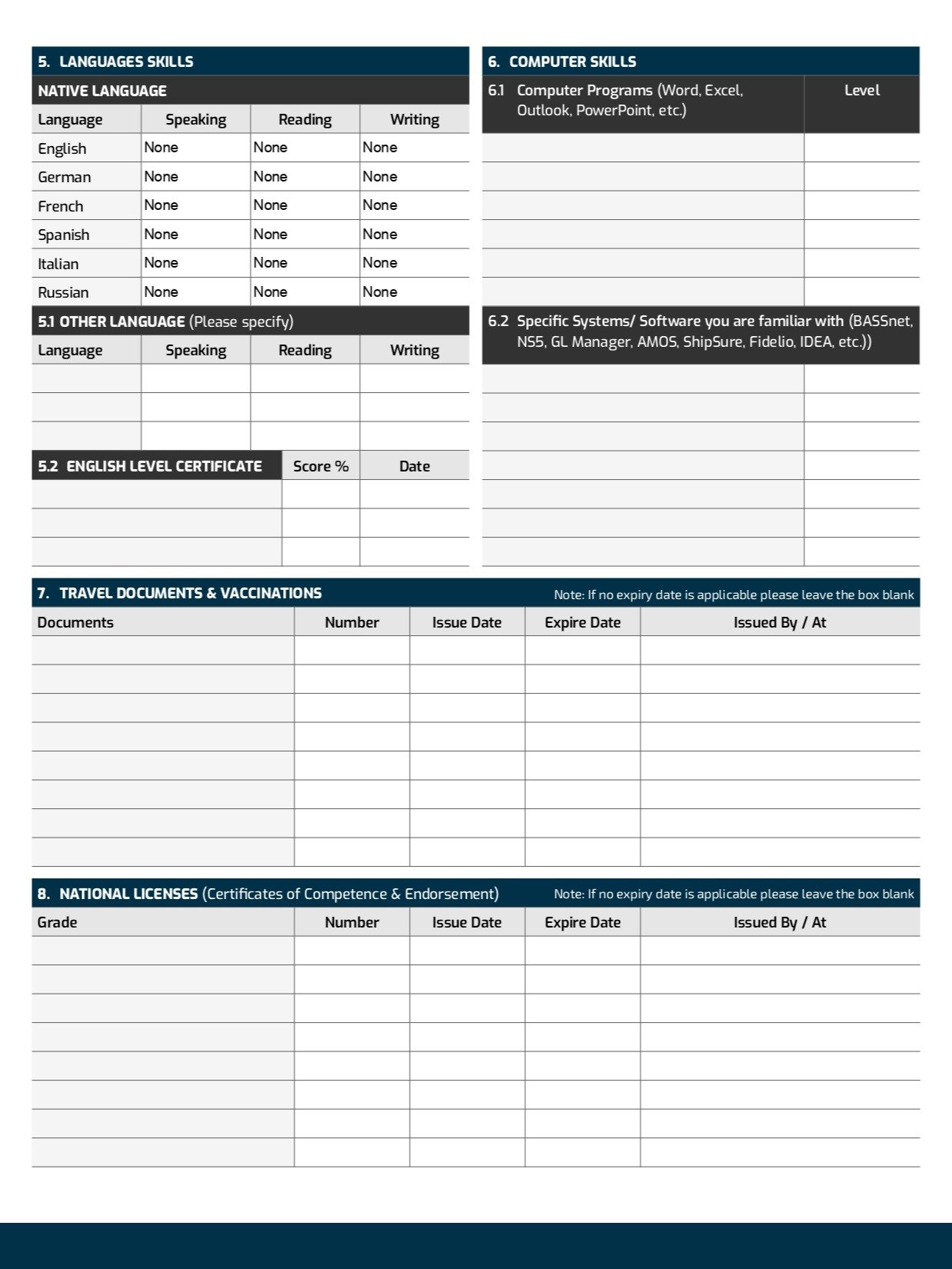 Professional Seafarer CV Template (ATS Friendly & International Standard) product image (2)