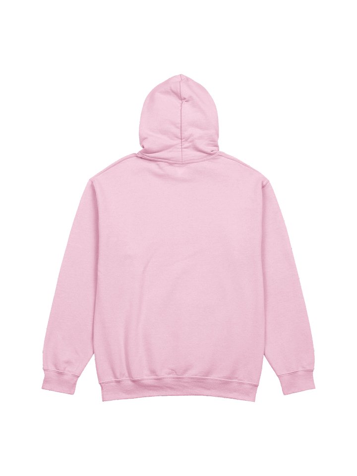 The New Pink Paradigm, Shift Happens, Global Prayer Day for the End of Breast Cancer Hoodie (Light Shade) product image (7)