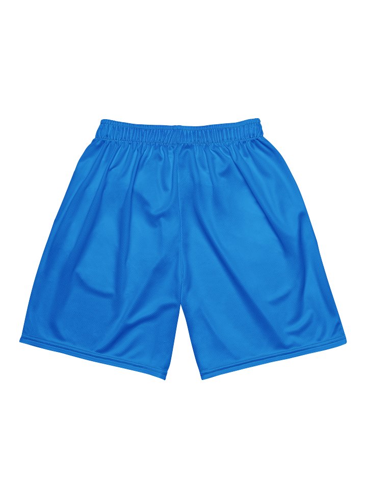 Barrio de Colores FC Home Shorts product image (2)