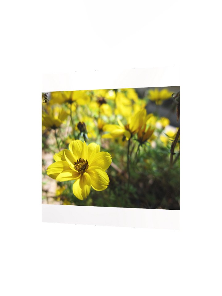 Yellow Flowers product image (6)