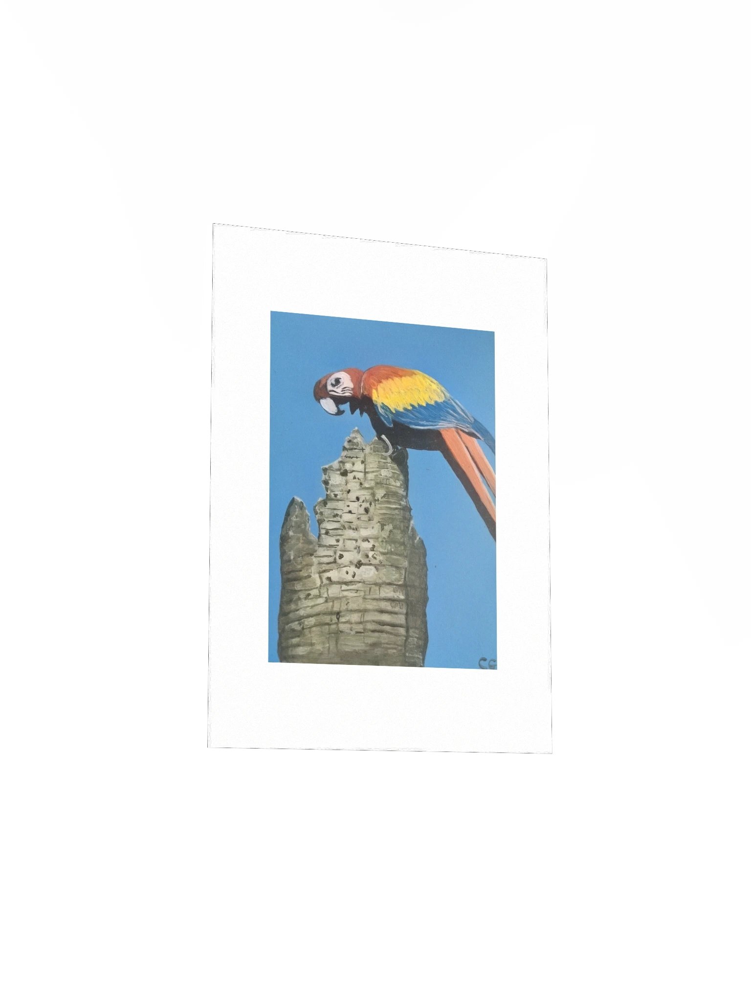 Scarlet Spirit of Playa Blanca Matte Poster product image (3)