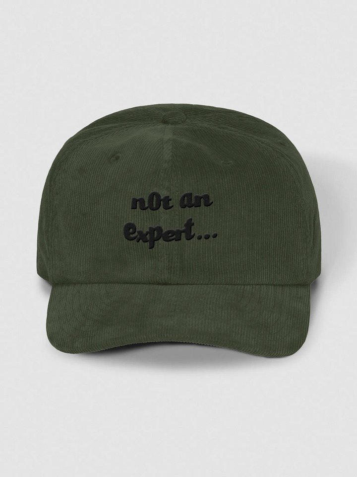 "not an expert..." Camel Corduroy Cap product image (9)