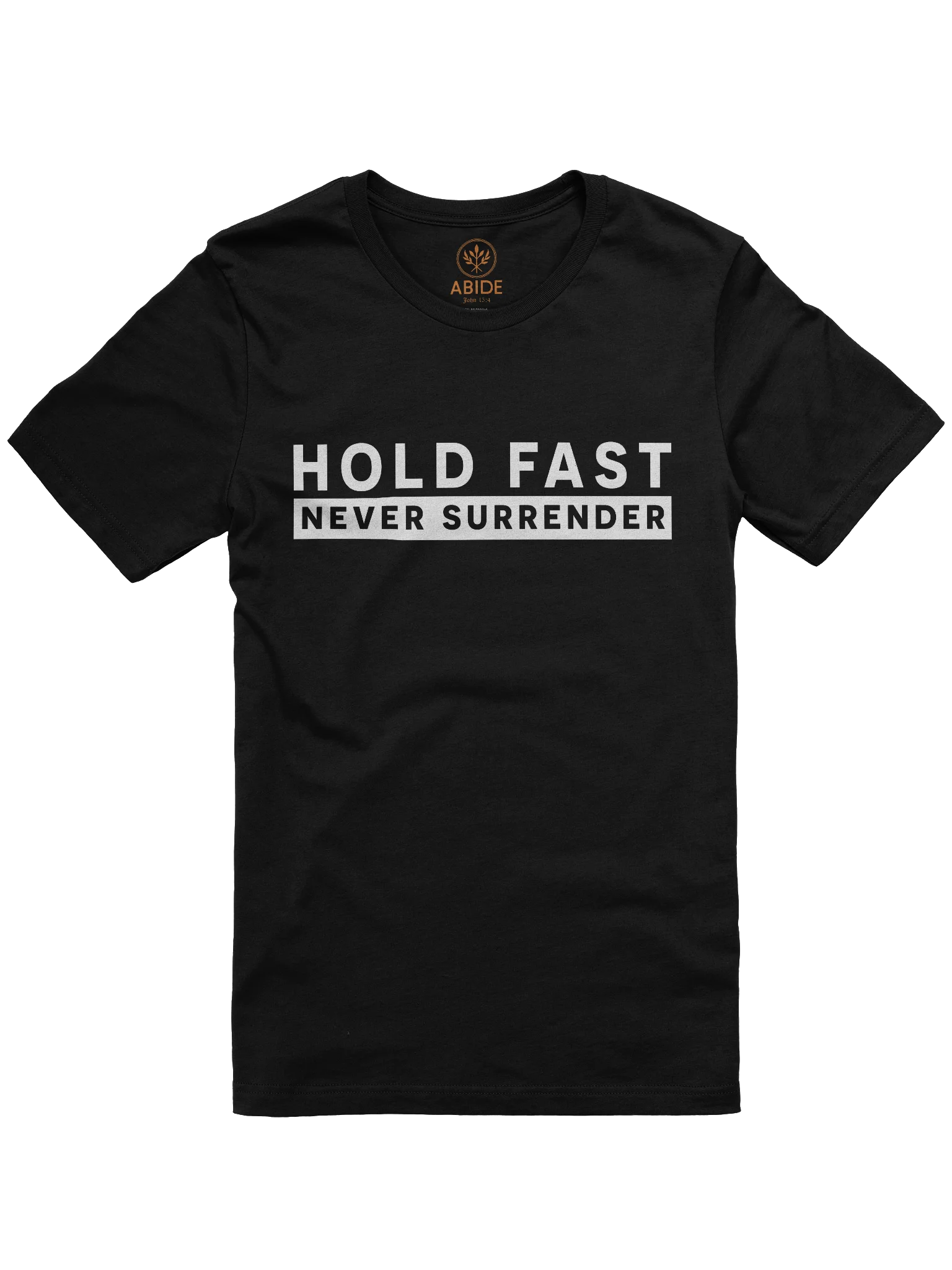 Hold Fast — Never Surrender product image (1)