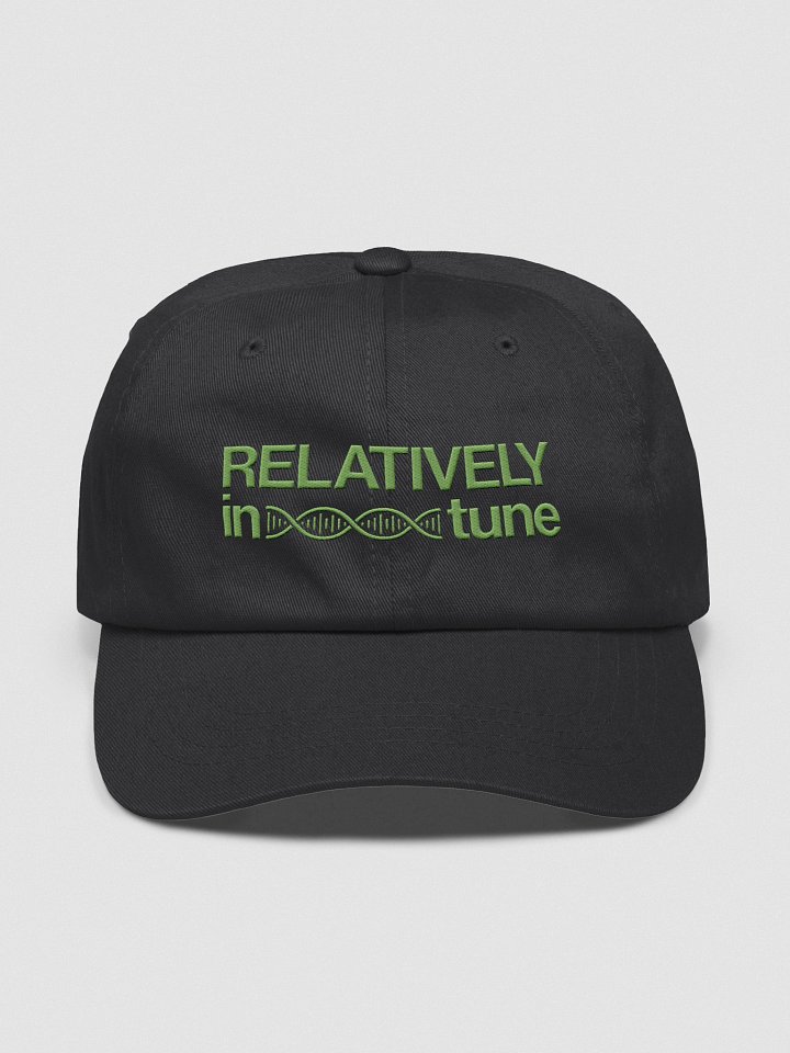 Relatively In Tune Embroidered Hat product image (1)