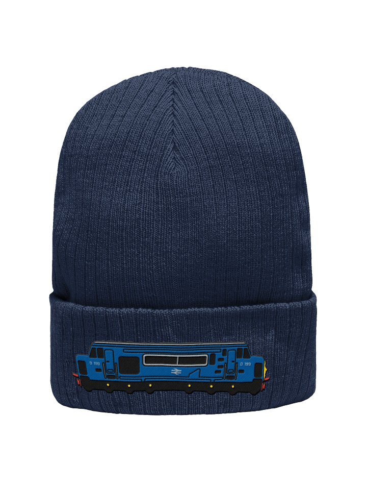 D199 Embroidered Beanie product image (1)
