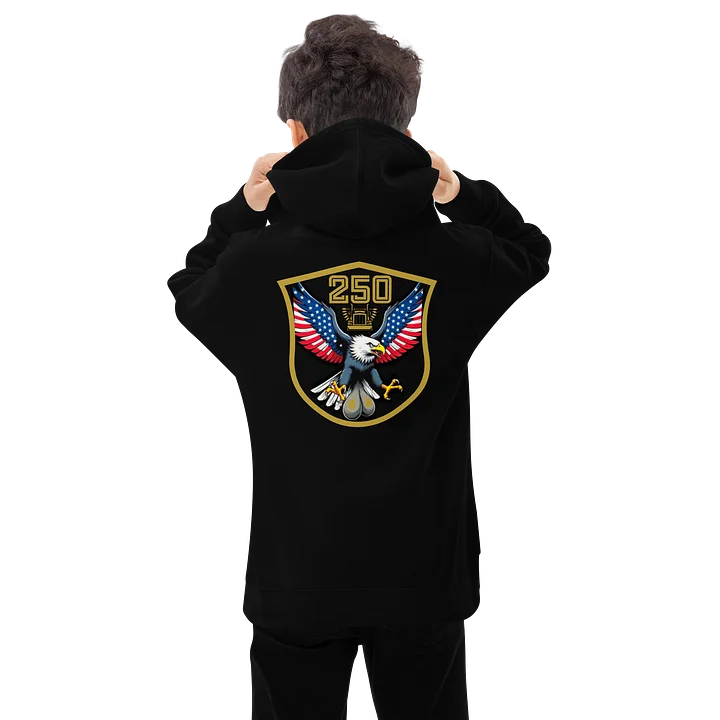 AMERICAN BALLED EAGLE - Classic Hoodie product image (1)