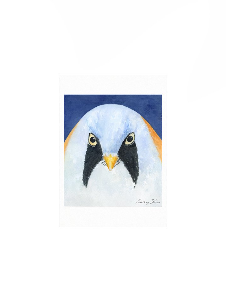 Bearded reedling print product image (1)