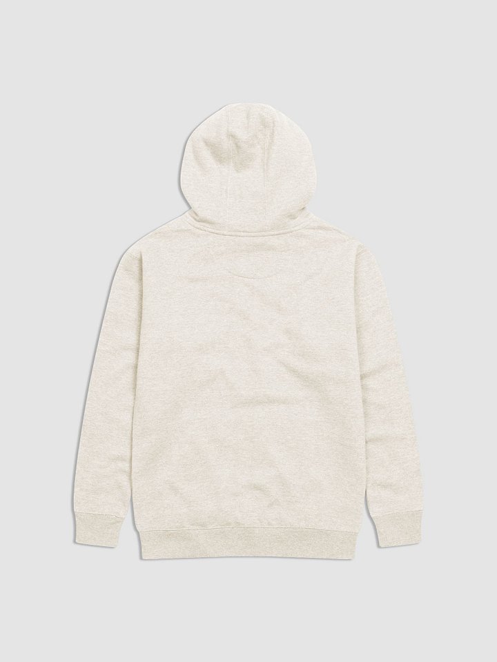 It's Not Just a Phase- Bi Sweatshirt product image (4)