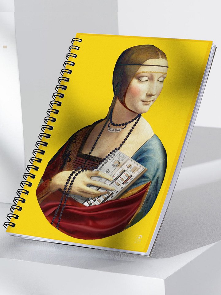 tb-3-0-3 Chill-out Lady by Frank Fonik, EDM Techno Spiral Notebook product image (1)