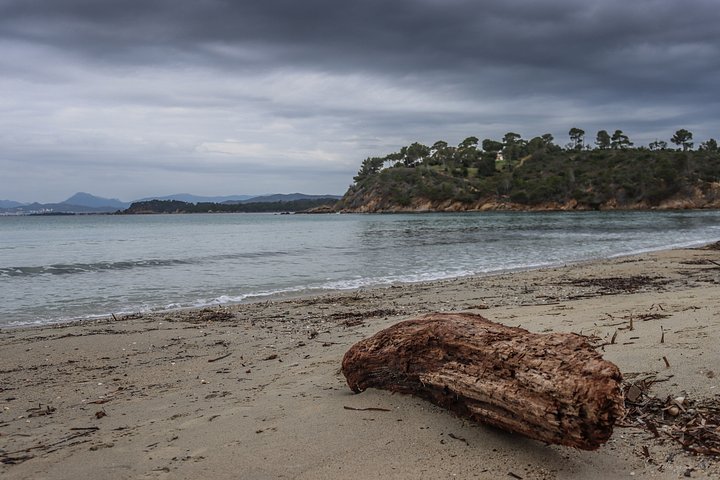 Driftwood on a Deserted Beach – Bregançon, France product image (1)