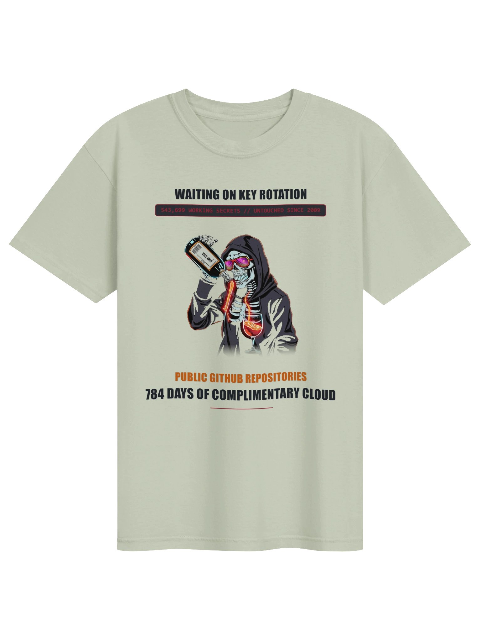 Waiting On Key Rotation // 784 Days In Public Heavyweight Tee - Light product image (4)