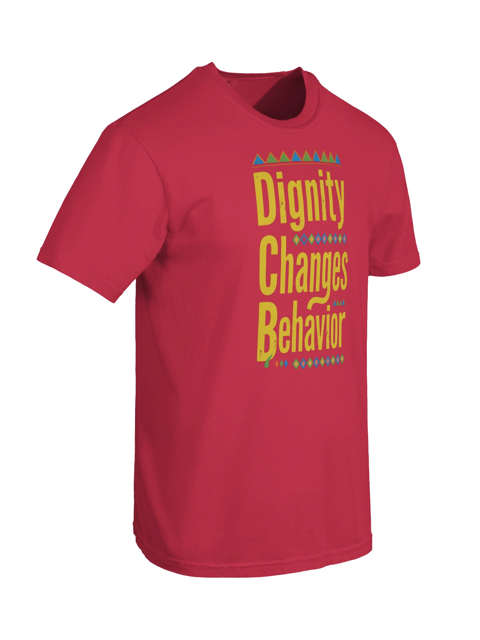 Dignity Changes Behavior Tee product image (6)