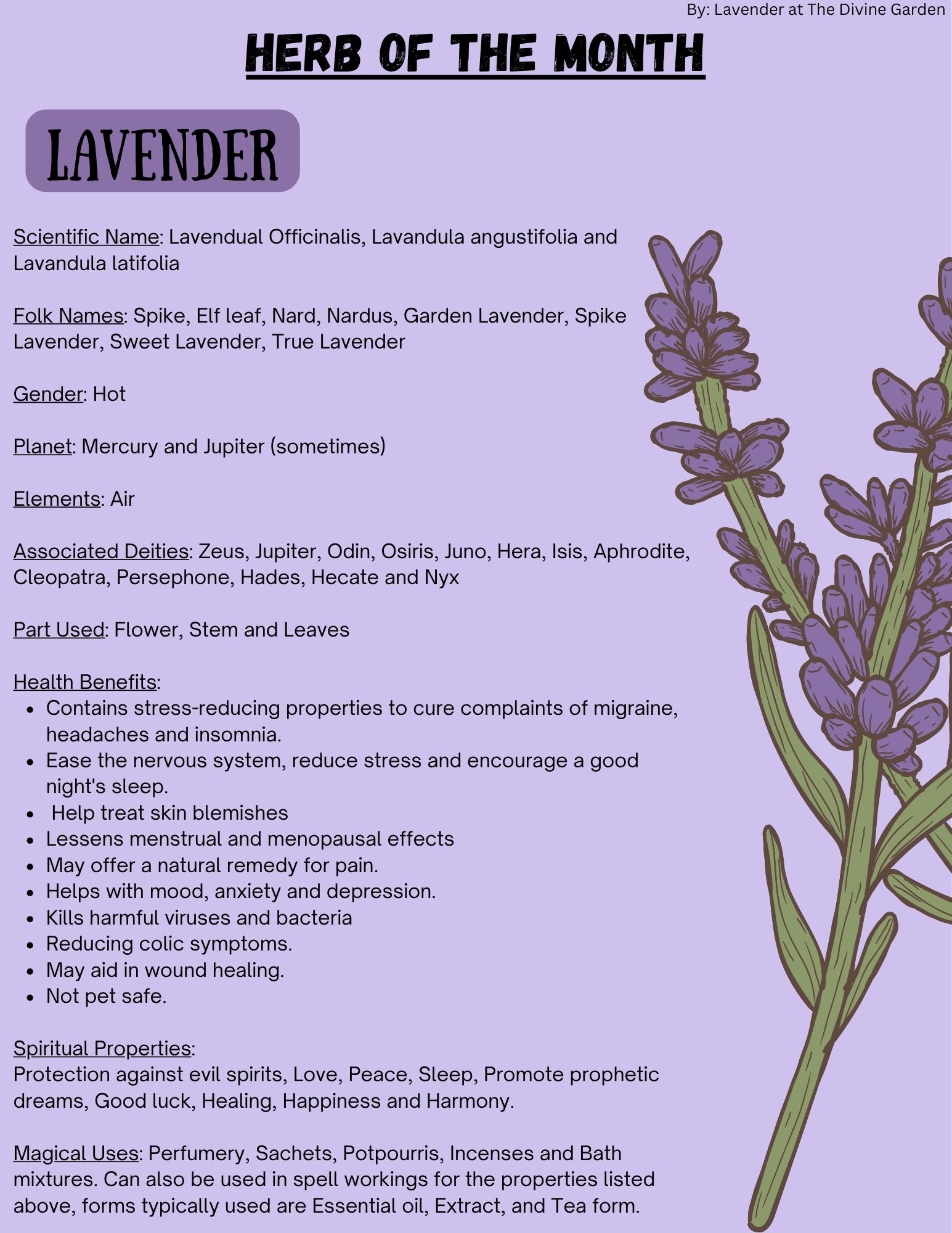 Lavender product image (1)