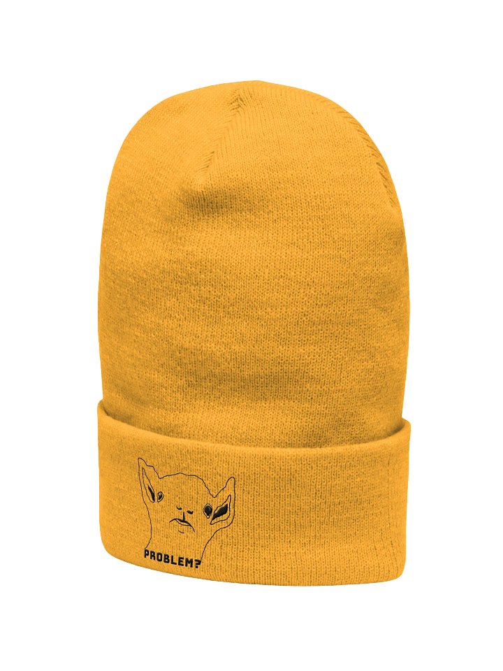 PROBLEM? - CUFFED BEANIE product image (8)
