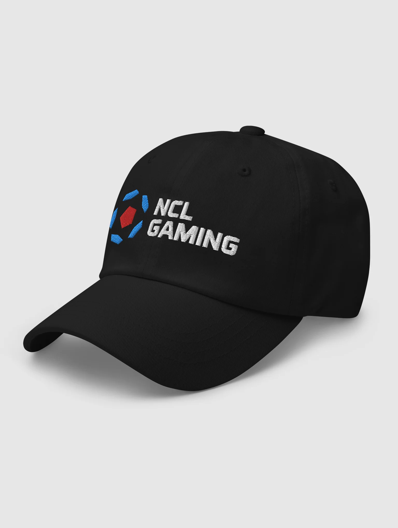 [THE NCL] Dad hat product image (3)