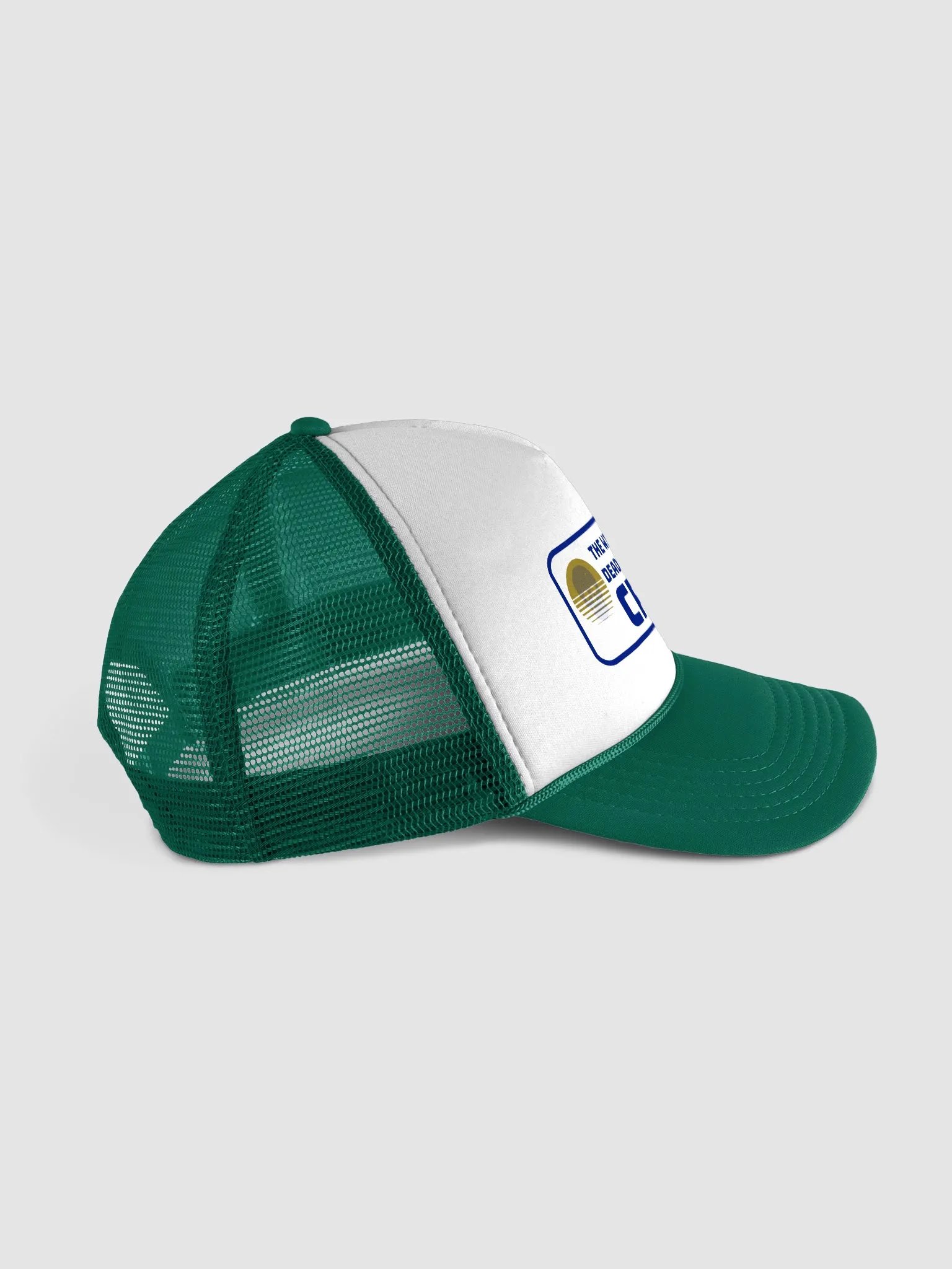 THE WILLING BUREAU DEAD STAR EXPLORATION CREW CAP product image (3)