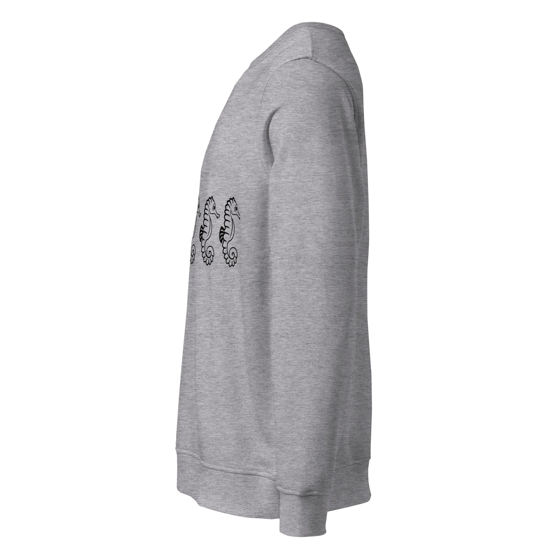 Seahorse product image (3)