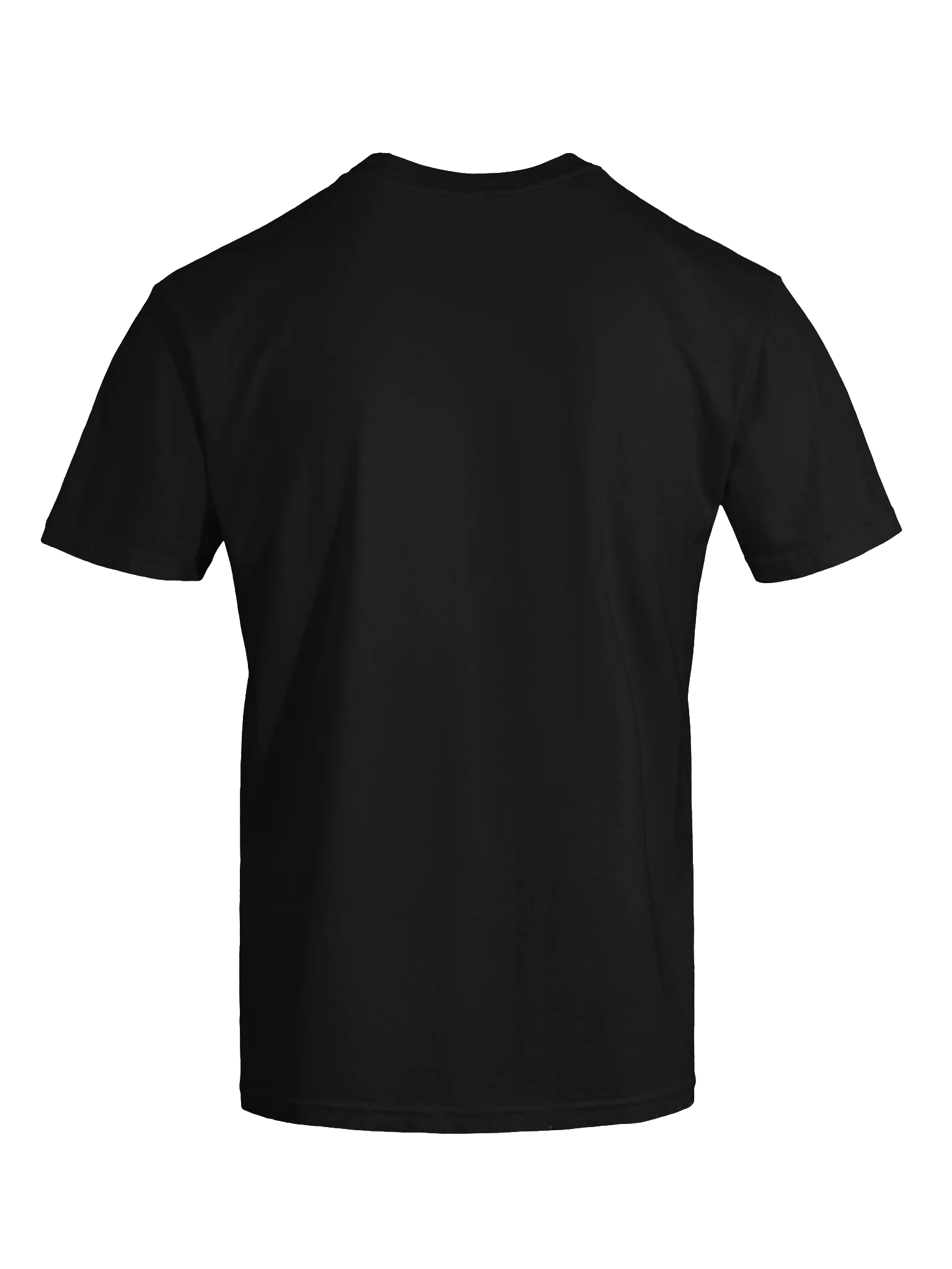PLAIN STANDARD TEE SHIRT product image (14)