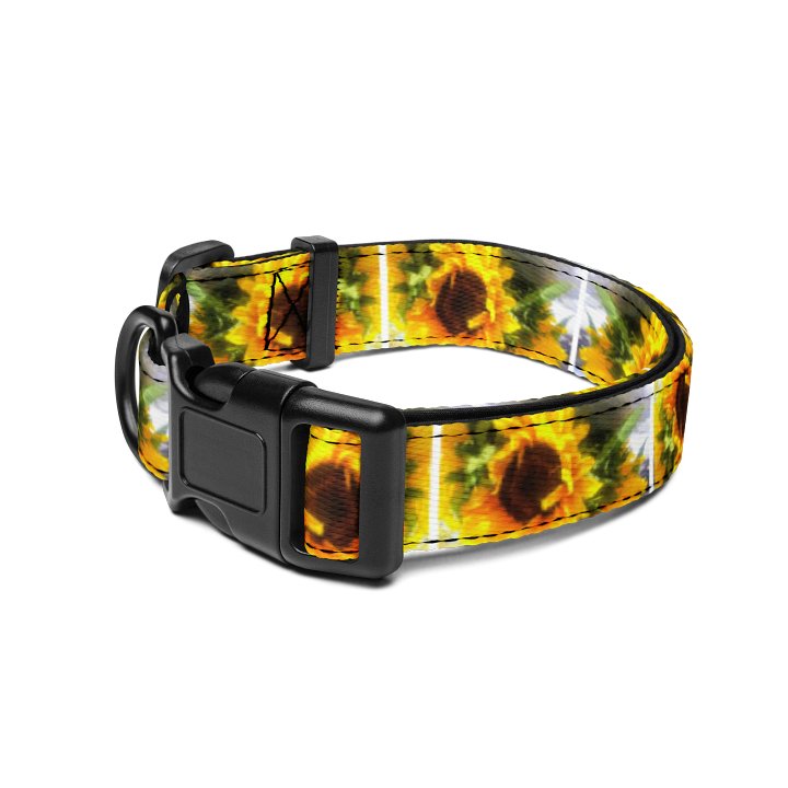 Sunflower Pet Collar product image (2)