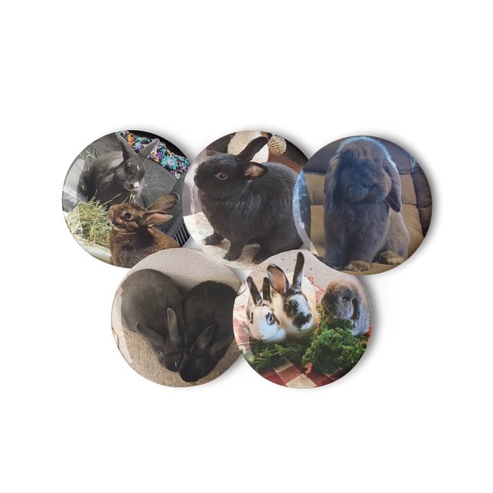 Bunny Pictures || Set of Pin Buttons product image (2)