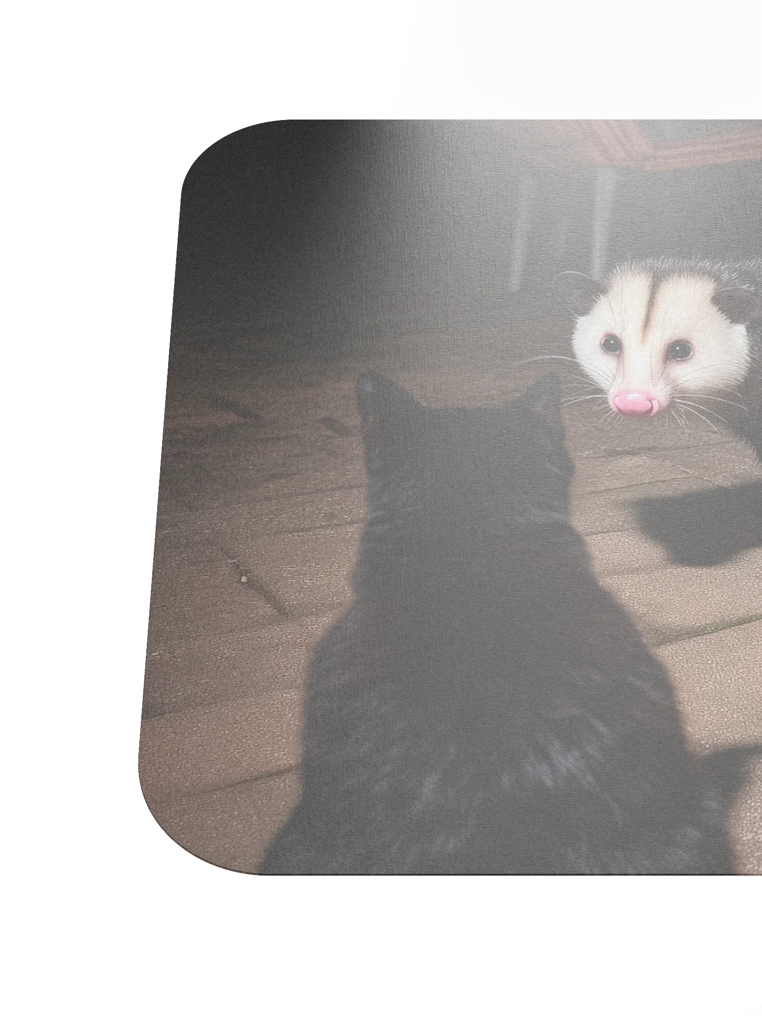 Cat meets opossum family Mouse Pad product image (6)