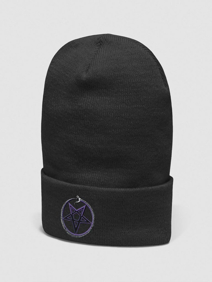 Logo Beanie | Basic product image (2)
